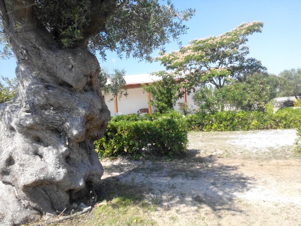 Agriturismo Villa Tommaso Torre dell'Orso Kültér fotó